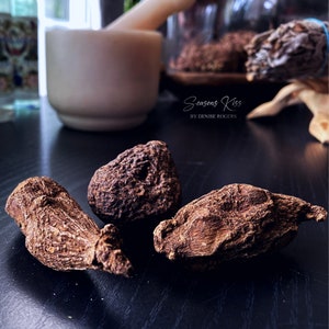 High John The Conqueror Root 3-pc.