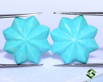 May include: Two turquoise blue star-shaped cabochon gemstones, each with 10 points, are held by tweezers against a white background.