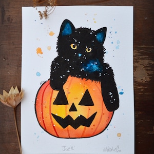 Jack the Black Cat