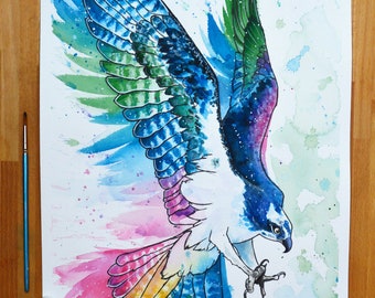 Colourful Osprey - Watercolour Print