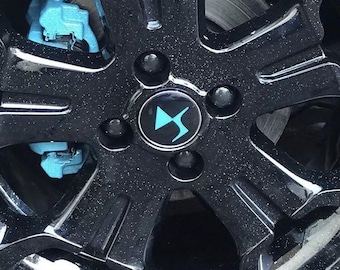 May include: Close-up of a black car wheel with a silver hubcap and a blue and white logo in the center. The wheel has five spokes and a black tire.
