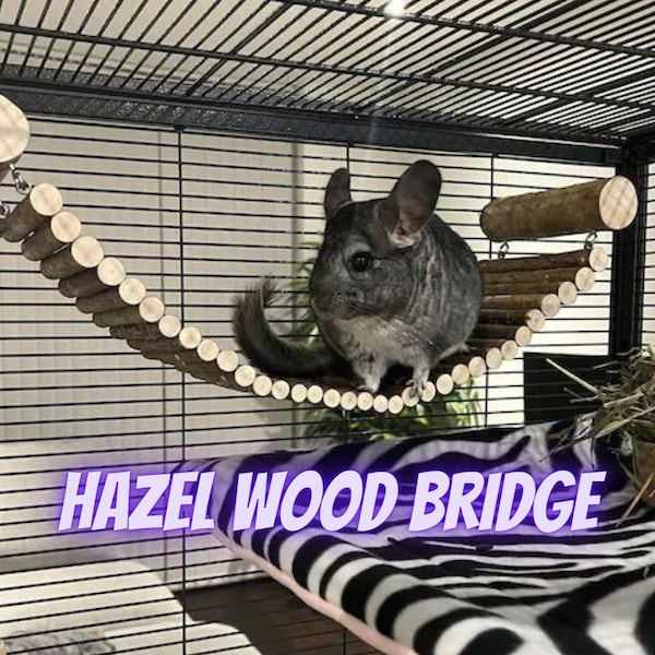 Holzbrücke für Chinchilla-Käfig / Degu-Käfig-Zubehör