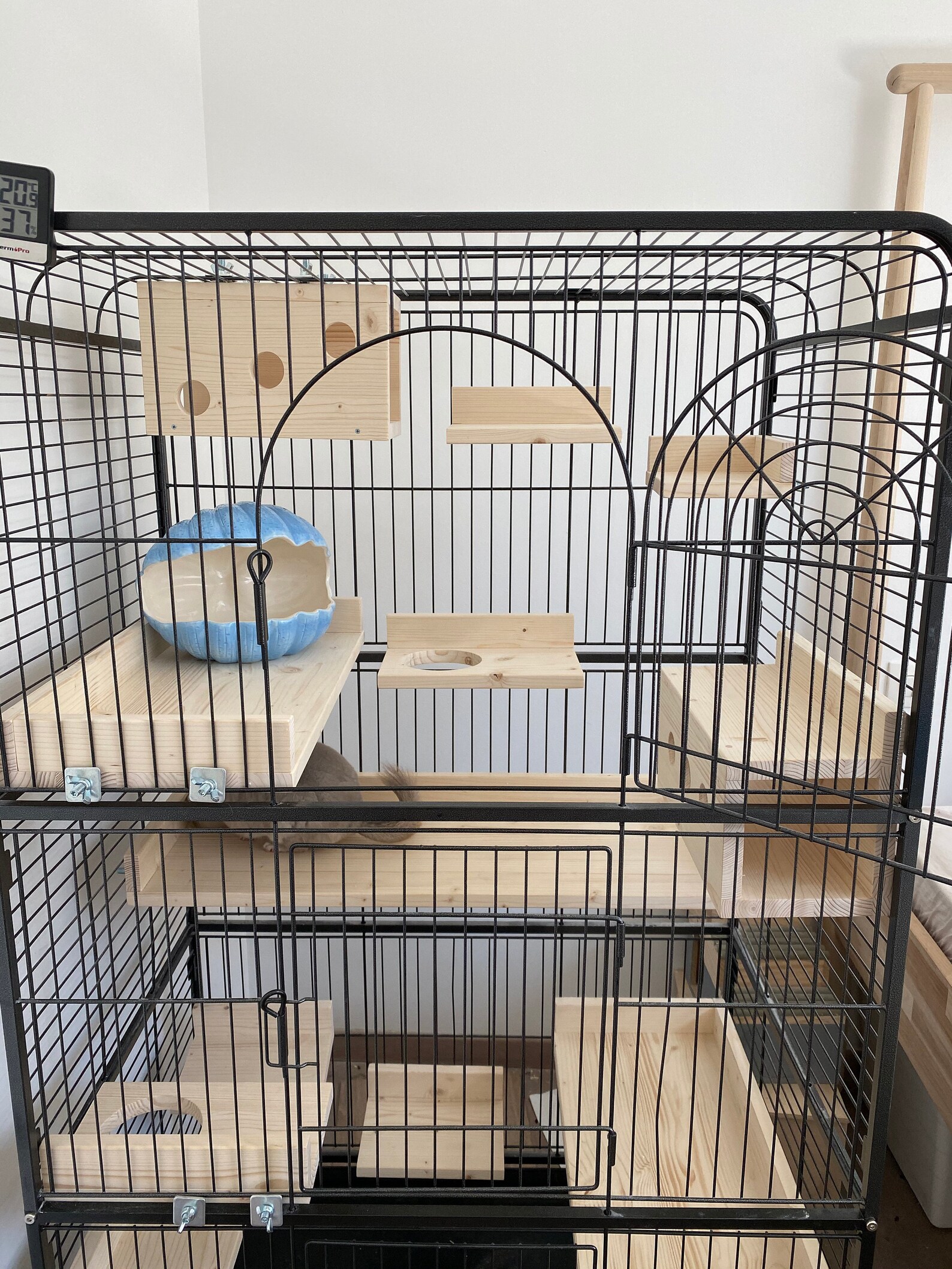 Custom Cage Setup Chinchilla Accessories Critter Nation Etsy