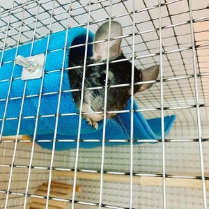 Chinchilla Metal Hanging Tunnel Covered With Antipill Fleece / Critter Cage Accessories image 2