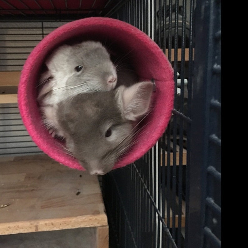 Chinchilla Metal Hanging Tunnel Covered With Antipill Fleece / Critter Cage Accessories image 3