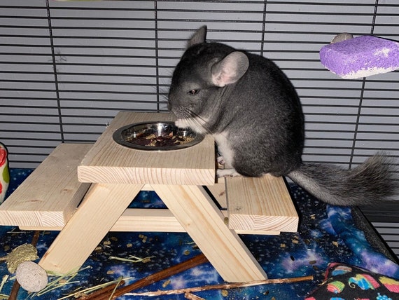 Slumber dukke Finde sig i Chinchilla Picnic Table / Rat Cage Accessory / Critter Feeding - Etsy