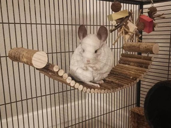 chinchilla cage supplies