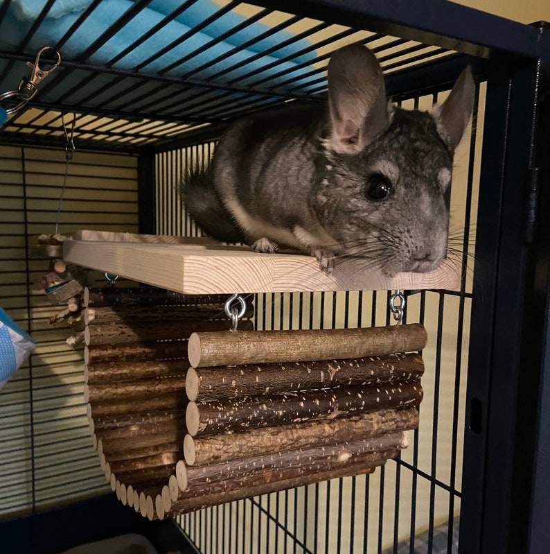 Chinchilla Hammock Ledge / Rat Cage Accessories Etsy