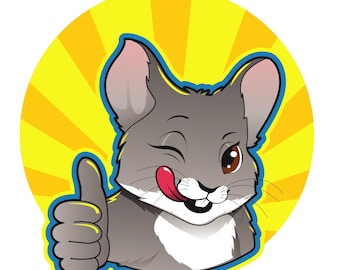 Configuración de jaula personalizada, accesorios para chinchillas, Critter Nation