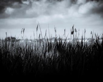 Dorset Coast: Hengistbury head  - Digital Print