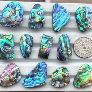 May include: A collection of twelve polished abalone shell cabochons featuring iridescent swirls of blue, green, and purple. The pieces are arranged in rows alongside a United States quarter coin for scale, showcasing their varied shapes and vibrant colors.