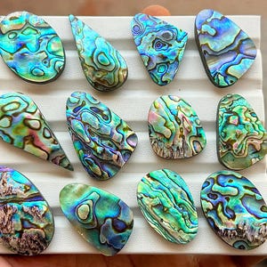 Naturlig Abalone-skal-cabochon | AAA-klassad Pauaskal-ädelsten | Regnbågsfärgad skimrande havsmönster-cabochon | Smyckestillverkningssten | Unik