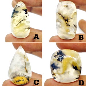 May include: Four polished gemstones with unique patterns. The stones are in various shapes: teardrop, oval, and rectangular. The colors include white, yellow, black, and gray, with intricate veining and inclusions. Each stone is labeled with a letter.