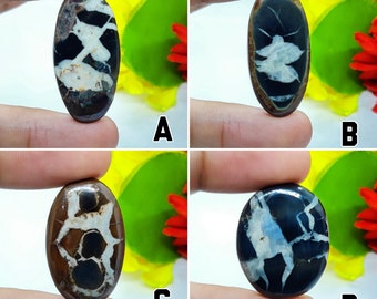 BLACK SEPTARIAN