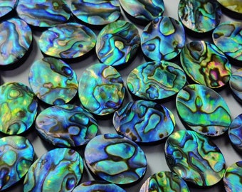 15×20mm Ovale Abalone Muschel Hohe Qualität der Regenbogenfarbe Muschel Abalone