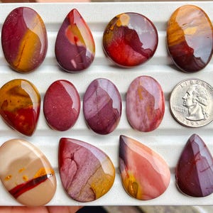 Puede incluir: Una colección de once piedras preciosas cabujón pulidas y multicolores en varias formas, incluyendo ovaladas, redondas y de lágrima, exhibidas en una bandeja blanca ranurada junto a una moneda de cuarto de dólar estadounidense para escala, con tonos rojos, amarillos y bronceados.