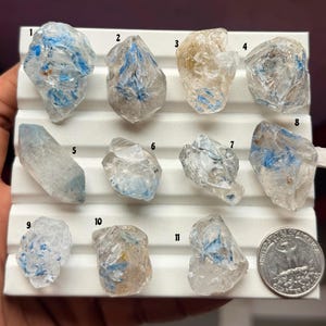 Puede incluir: Once cristales crudos y translúcidos numerados del uno al once, con inclusiones de depósitos minerales de color azul brillante y amarillo pálido. Los cristales están dispuestos en una bandeja de exhibición blanca ranurada junto a una moneda de 25 centavos.