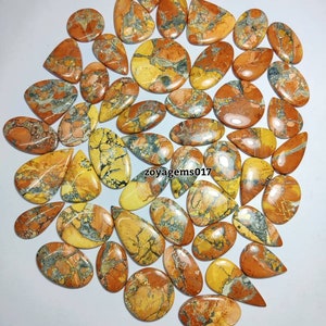 May include: A collection of 30 yellow, orange, and gray jasper cabochons. The cabochons are all different shapes and sizes, but they are all polished and have a smooth, glossy finish.