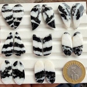 May include: Eight pairs of polished zebra stone cabochons in various shapes including teardrop, oval, and semi-circle, featuring distinct black and white striped patterns. A ten rupee coin is placed in the bottom right corner for scale reference.