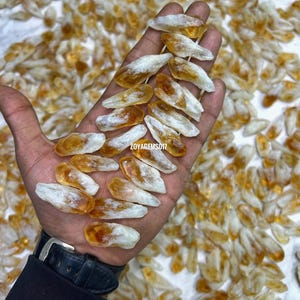 Raw Citrine Crystal Cluster: Natural Bio Gemstone Quartz (20-45mm)
