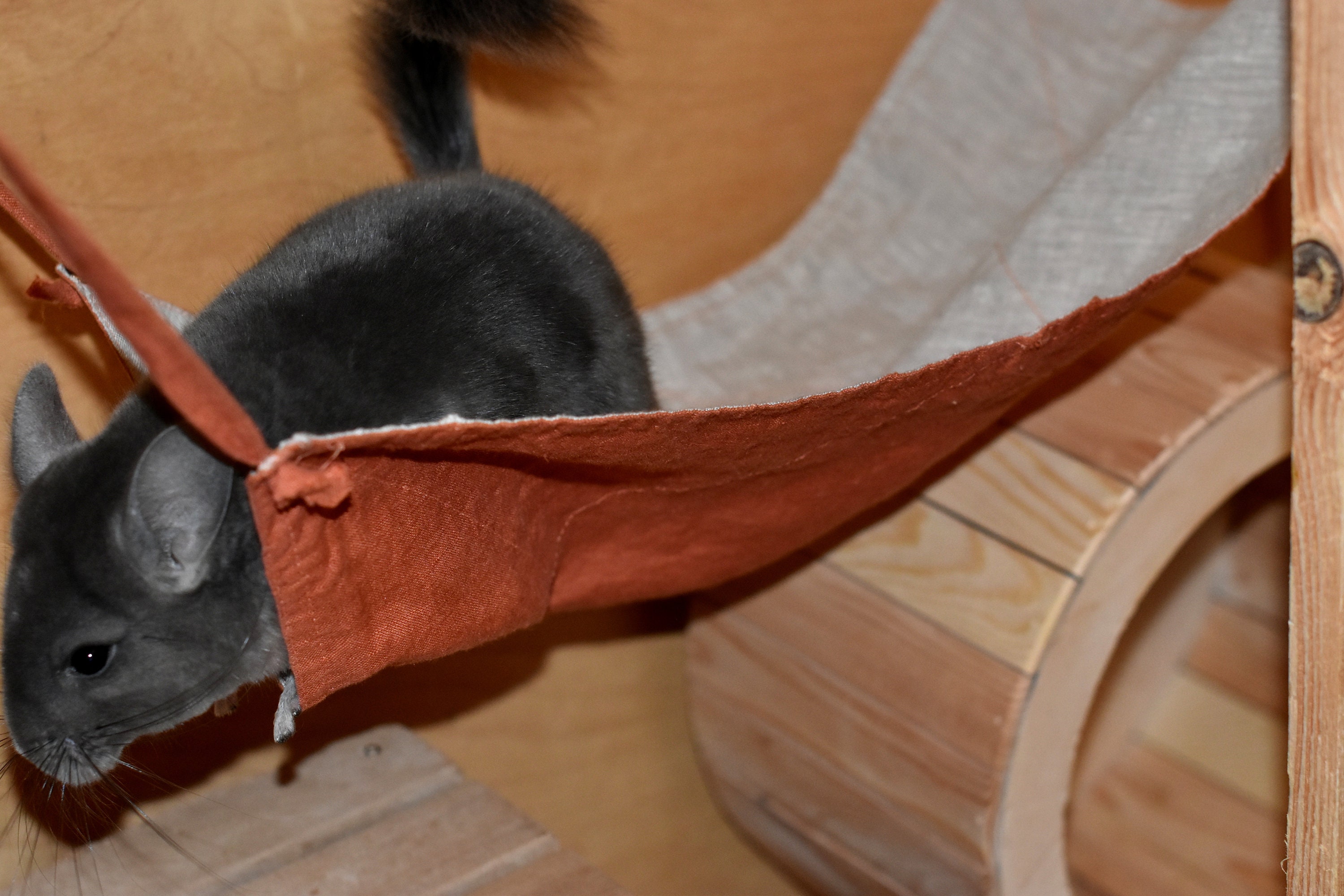 RODENTS Furniture Chinchilla Tunnel Hanging Tunnel Hammock - Etsy