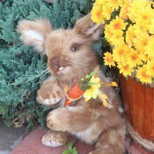 Rabbit, bunny, plush toy, collectible, handmade toy, artist made