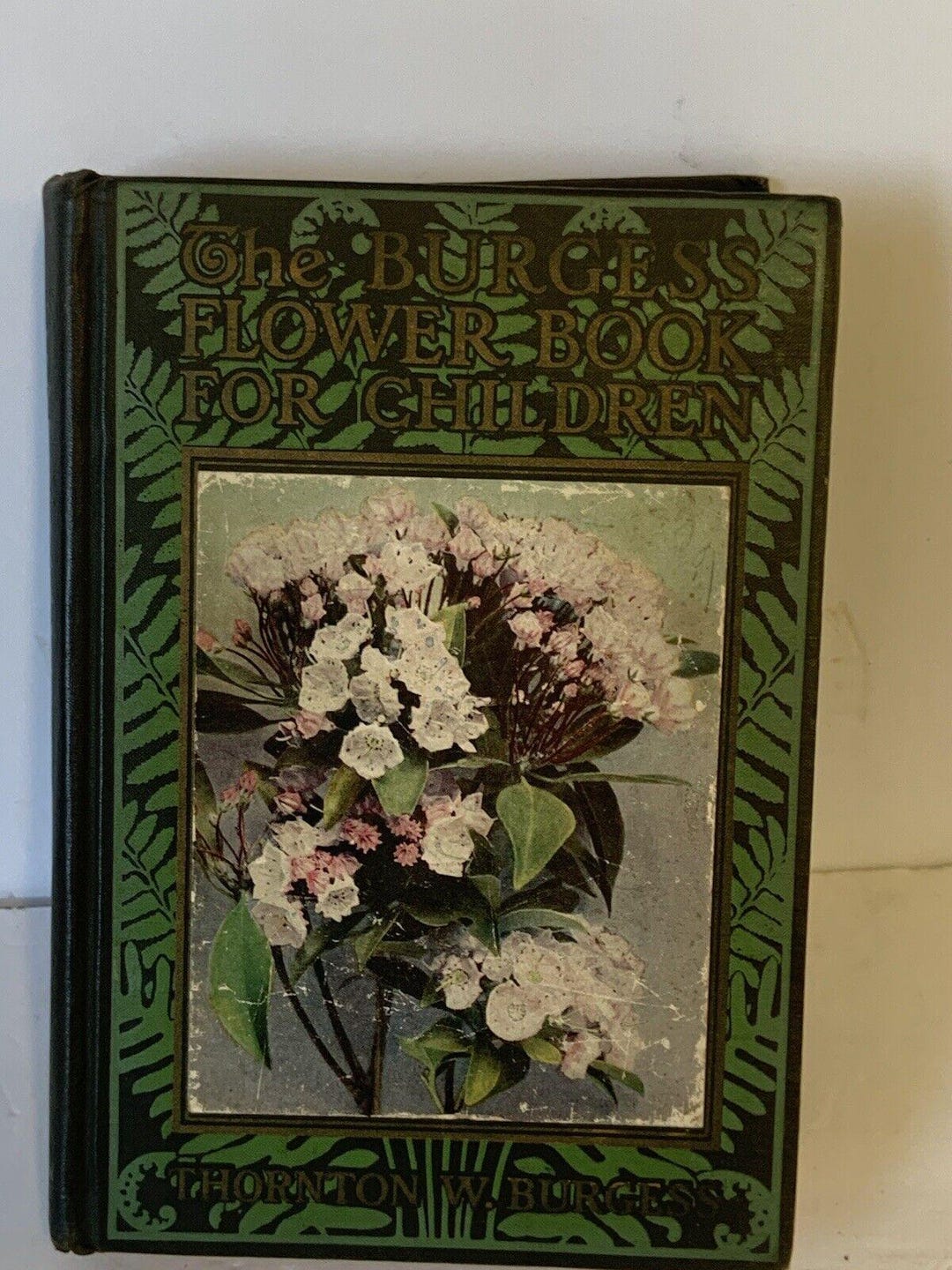 The Burgess Flower Book for Children Throton W Burgess 1928 HC READ