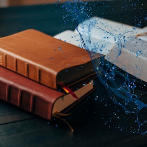Water Resistant Bible