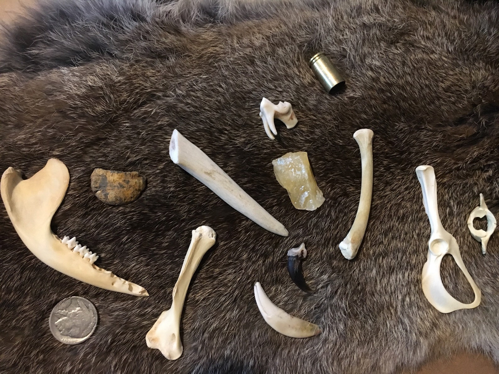 Custom Bone Throwing Divination Set osteomancy ossomancy Etsy
