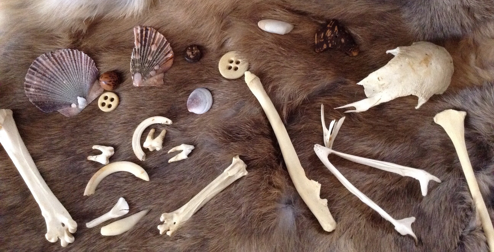 Custom Bone Throwing Divination Set osteomancy ossomancy Etsy