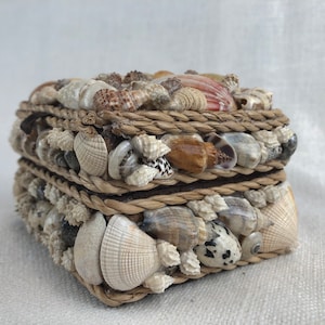 Vintage Seashell Handmade Trinket Box for Jewelry & Little Treasures