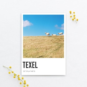 Carte postale Texel