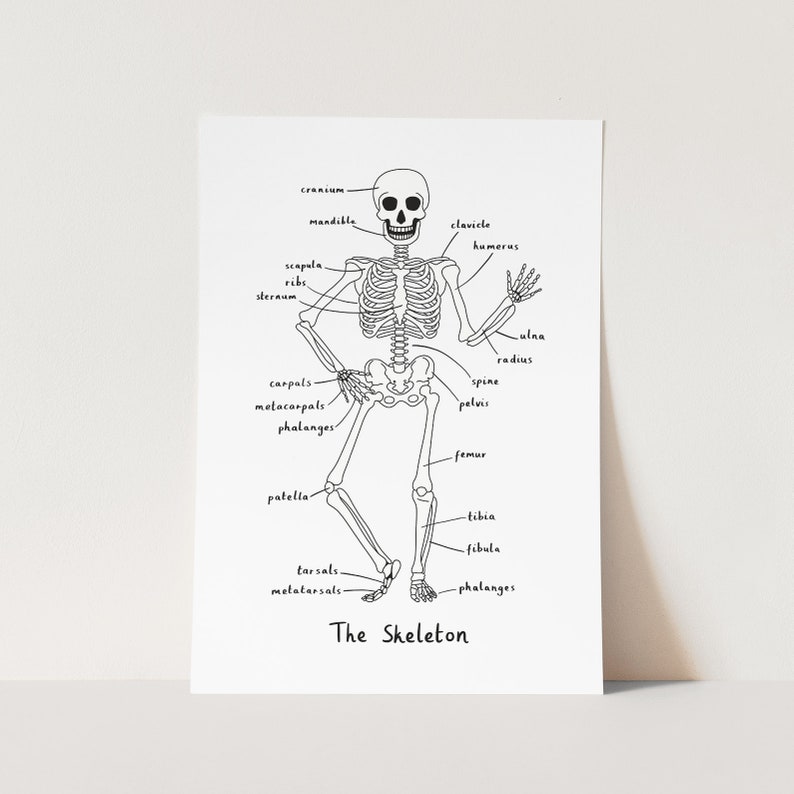 Skeleton print in white, Nursery Wall Art, Children's Wall Art, perfect birthday gift or nursery decor image 1