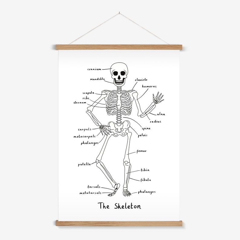 Skeleton print in white, Nursery Wall Art, Children's Wall Art, perfect birthday gift or nursery decor image 2