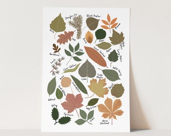 Leaf Chart print, children&#39;s decor, nursery rainbow decor, perfect birthday gift for her or wall decor