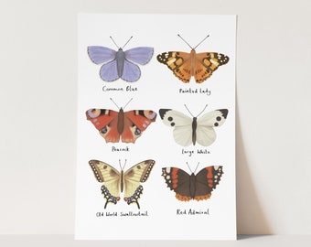 Butterflies print, children's decor, educational decor, perfect birthday gift for her or wall decor