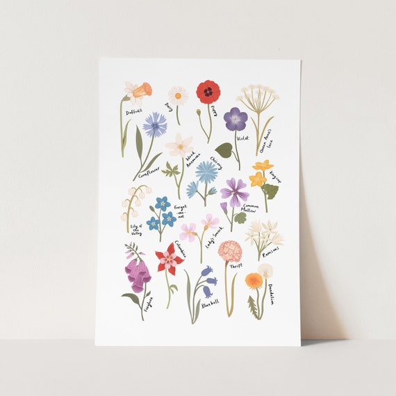 Pretty Dried Wildflowers Colorful Design Art Print for Sale by