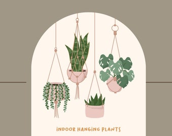 Basic/ Beginner/ Simple Macramé Plant Hanger Pattern Instructions- Macramé DIY