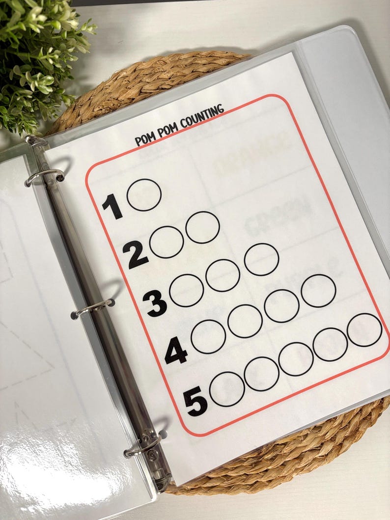 May include: A white paper with the text "POM POM COUNTING" and numbers 1 through 5, each with a corresponding number of circles. The paper is inside a clear binder with metal rings. The background includes a woven mat and a green plant.