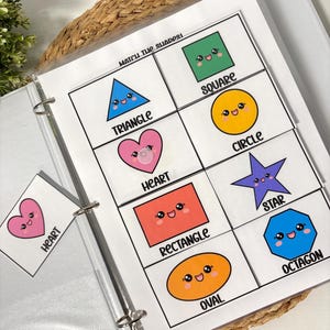 May include: A binder with a laminated page featuring colorful, cartoon shapes: triangle, square, circle, heart, rectangle, star, oval, and octagon. Each shape has a smiling face and is labeled with its name. The text "Match the Shapes" is at the top.