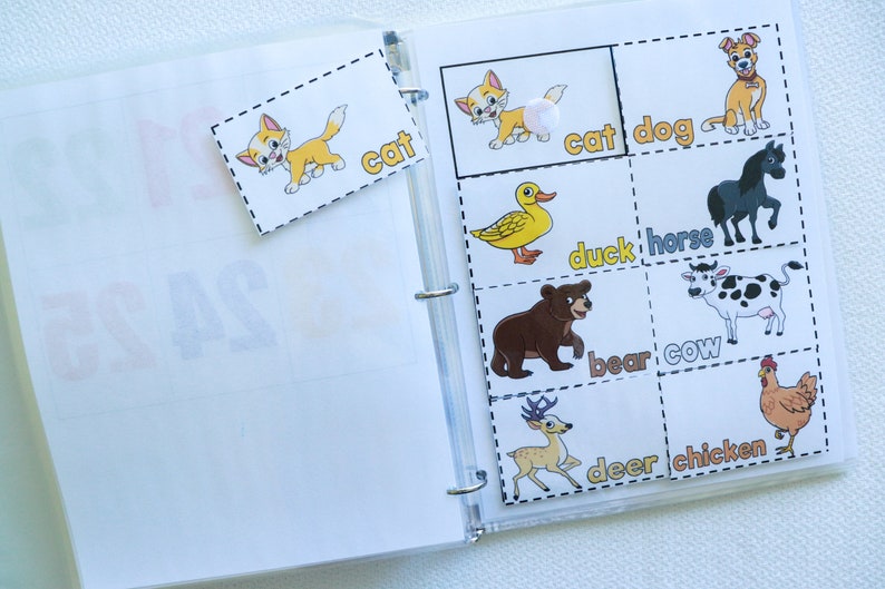 PRESCHOOL & TODDLER Learning Binder PRINTABLE version - Etsy.de