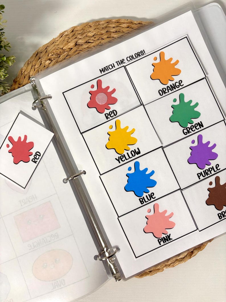 May include: A binder with pages featuring color matching activities. Each page displays colorful paint splatters labeled with color names like red, orange, yellow, green, blue, purple, pink, and brown. The text "MATCH THE COLORS!" is at the top.