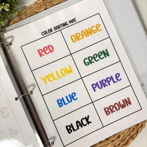 May include: A color sorting mat with the words "COLOR SORTING MAT" at the top. The mat is divided into eight sections, each labeled with a different color: red, orange, yellow, green, blue, purple, black, and brown. The mat is inside a white binder.