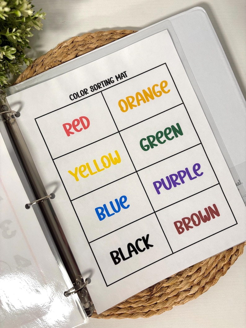 May include: A color sorting mat with the words "COLOR SORTING MAT" at the top. The mat is divided into eight sections, each labeled with a different color: red, orange, yellow, green, blue, purple, black, and brown. The mat is inside a white binder.