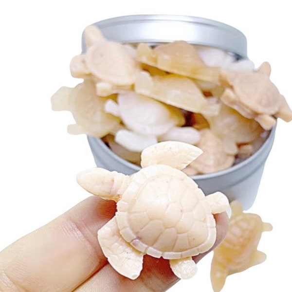 SAVON DE POCHE TURTLE - Mini pains de savon pour tortues de mer - Savon de voyage