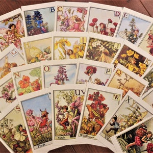 Flower Fairy Alphabet Komplett A-Z Postkarten Illustrationen von Cicely Mary Barker 24 Postkarten set Nursery Art