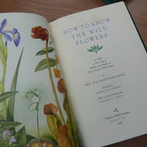 How to Know the Wildflowers by Mrs William Starr Dana Illustrated by Marion Satterlee Gardening book