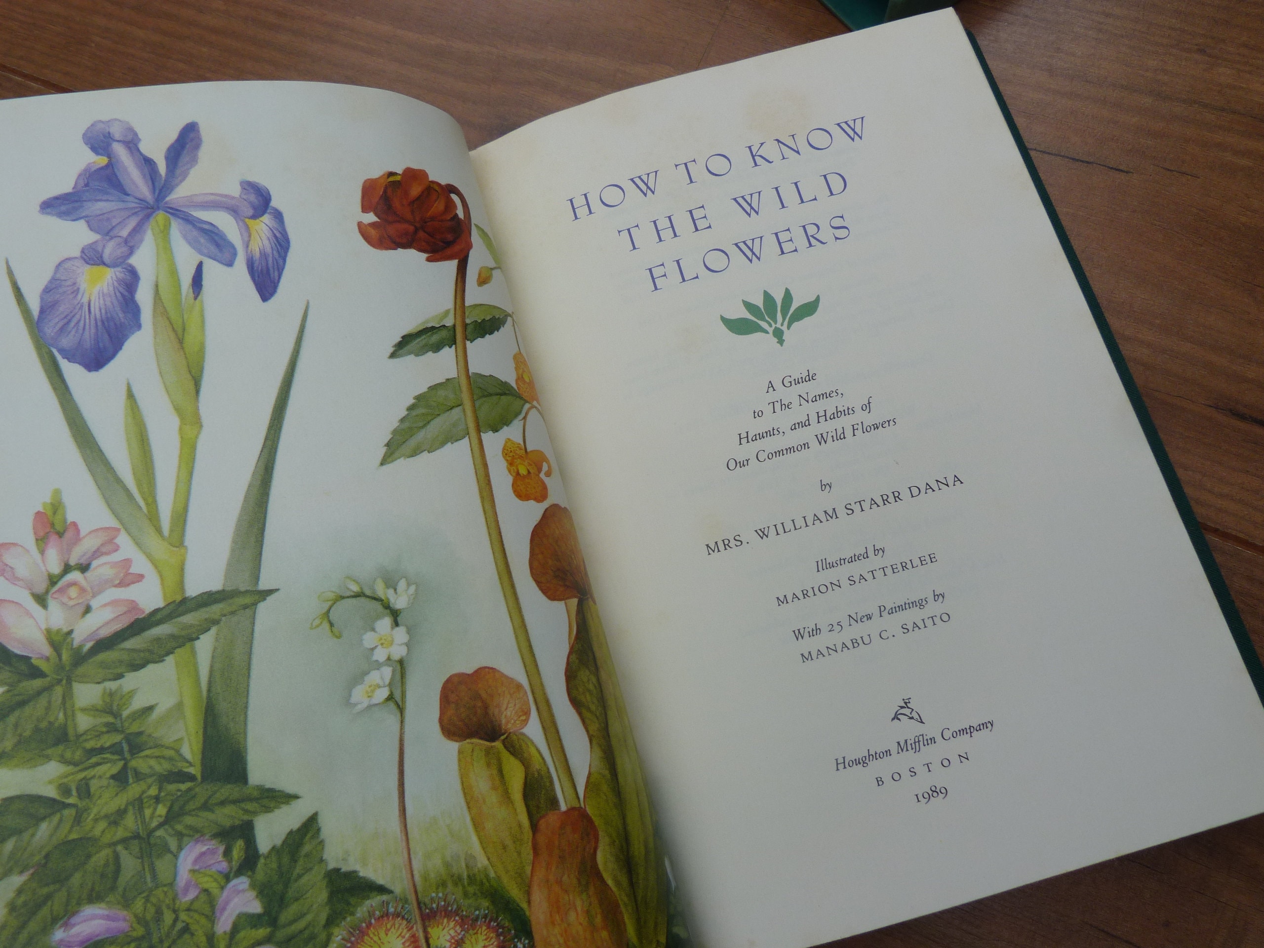 How to Know the Wildflowers by Mrs William Starr Dana Illustrated