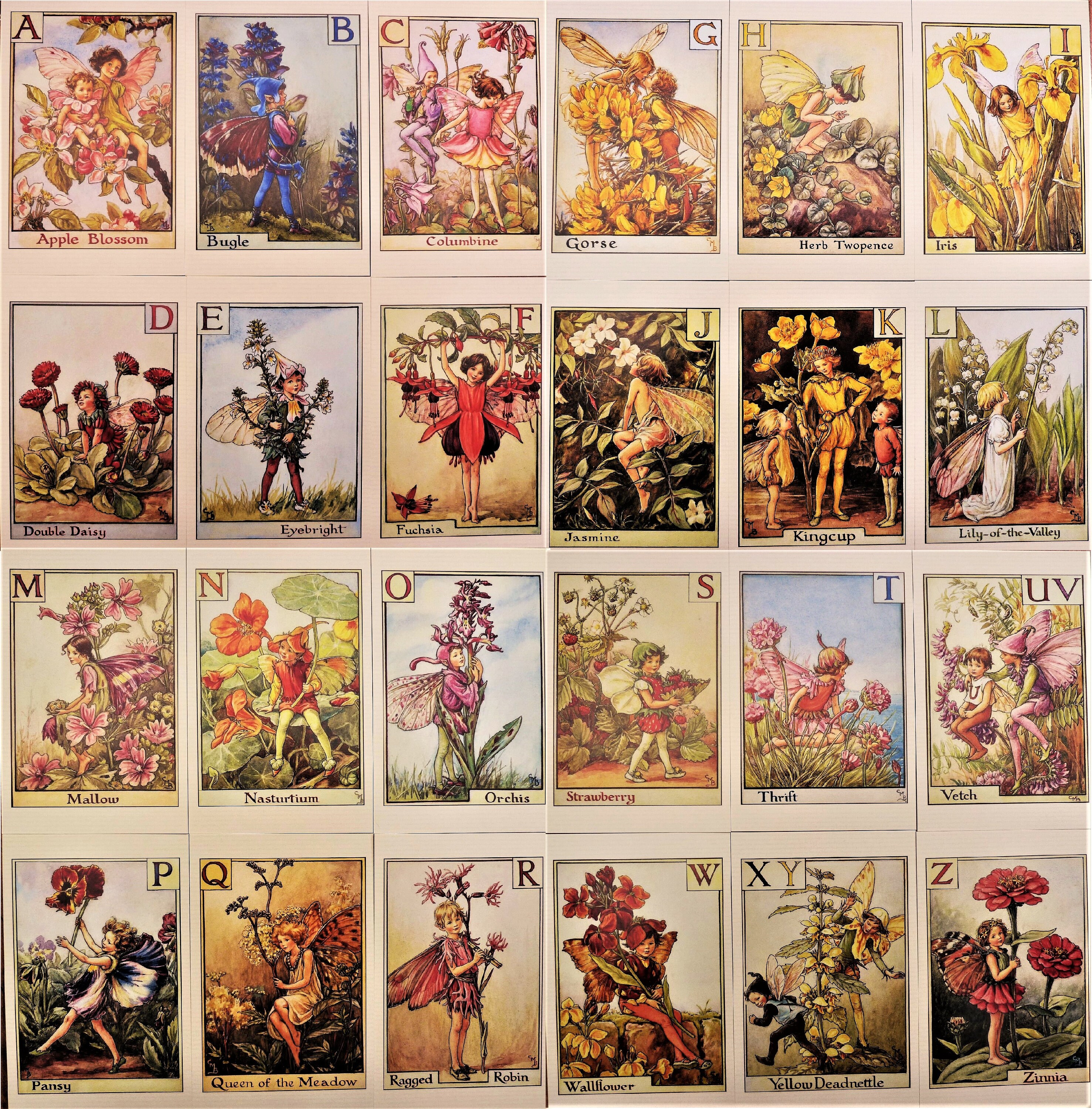 Flower Fairy Alphabet Complete A-Z Postcards Illustrations by