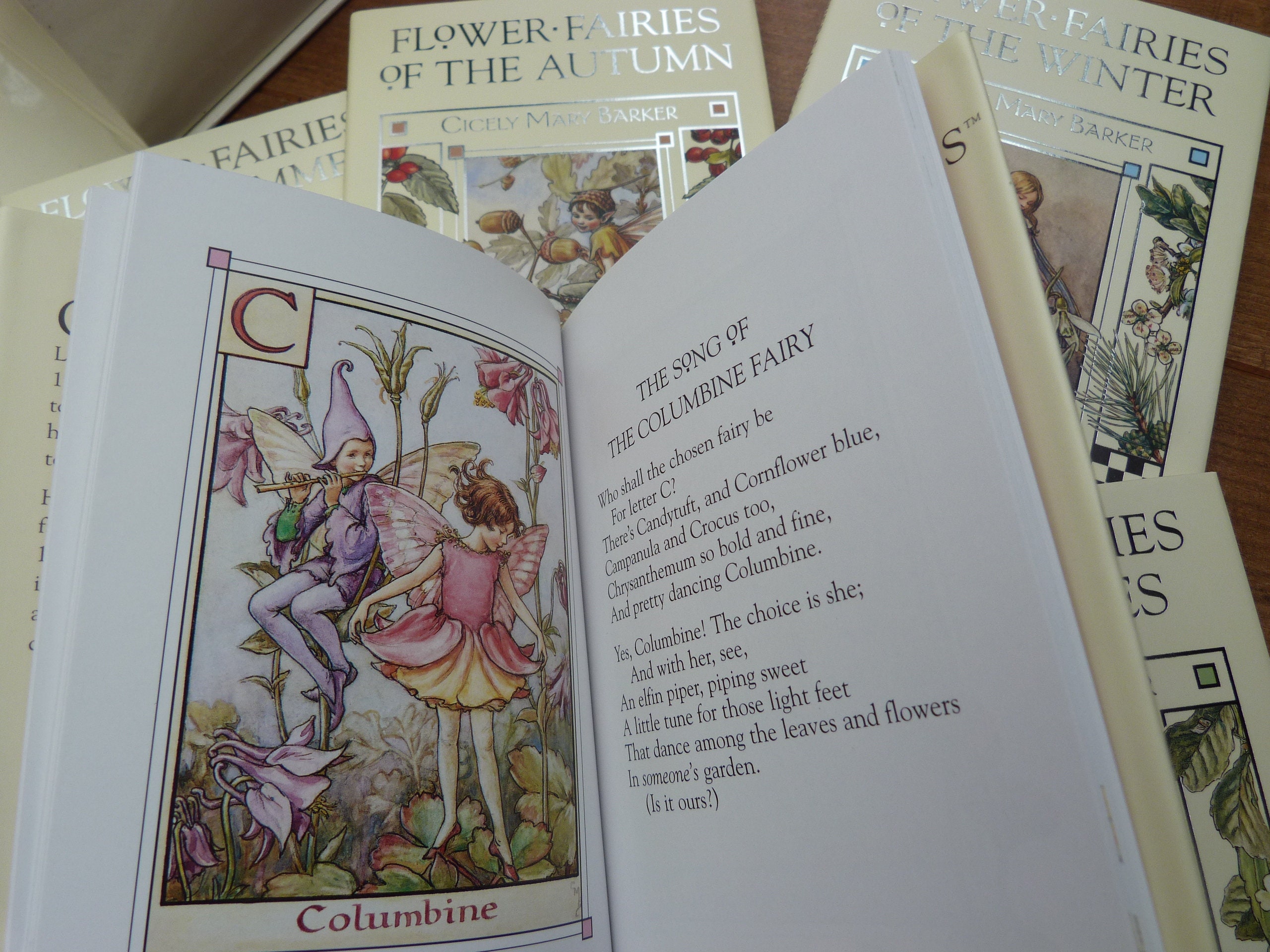 Complete Flower Fairies Collection Slipcase Containing Eight